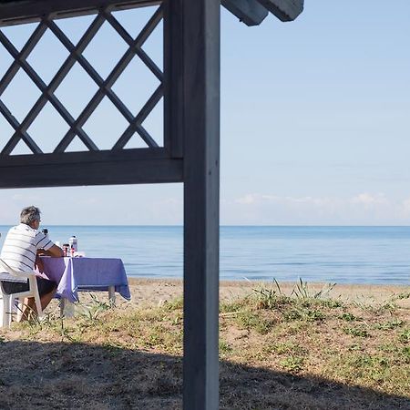 Villa Emilia Marina di Castagneto Carducci Eksteriør billede