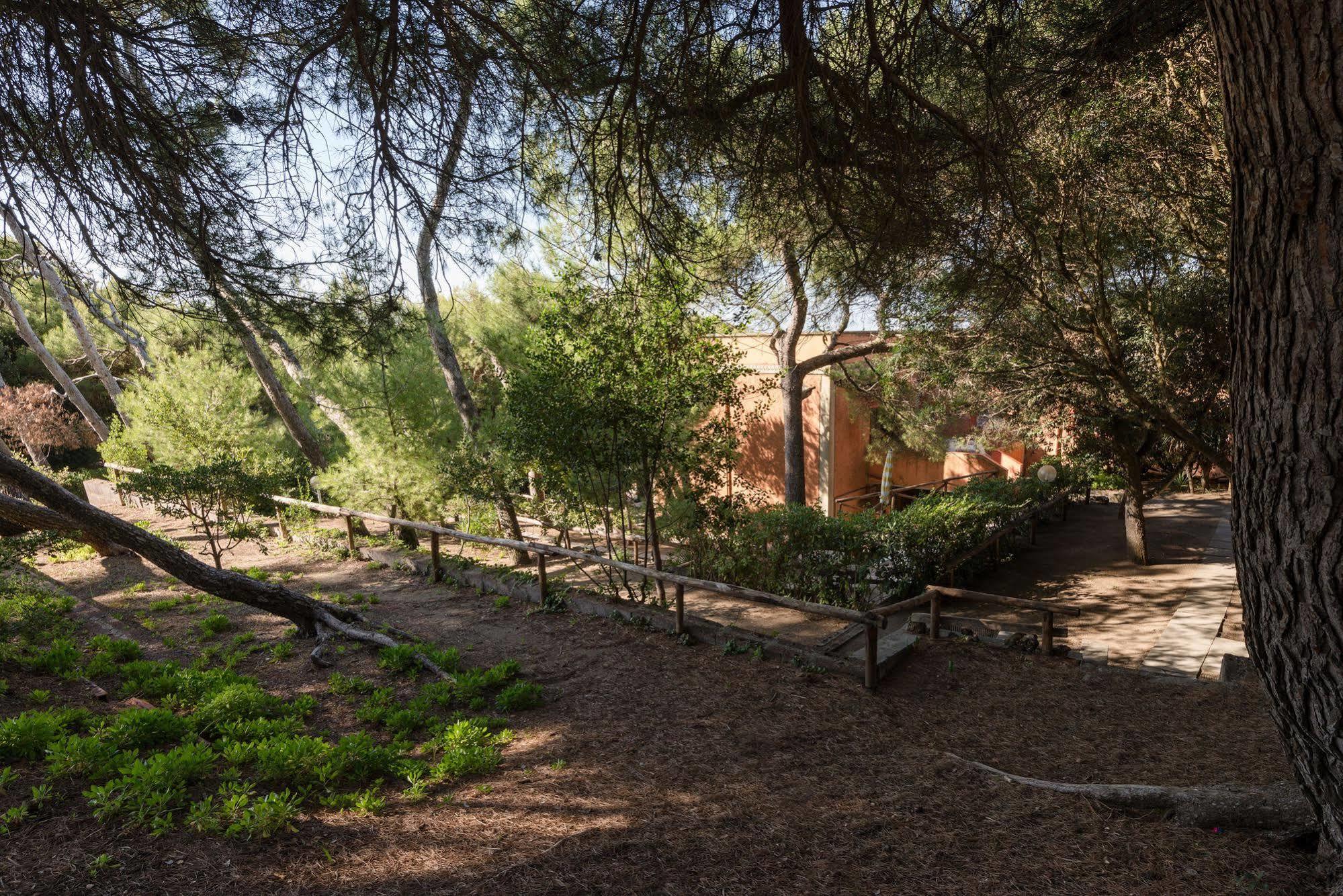 Villa Emilia Marina di Castagneto Carducci Eksteriør billede